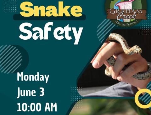 Snake Safety