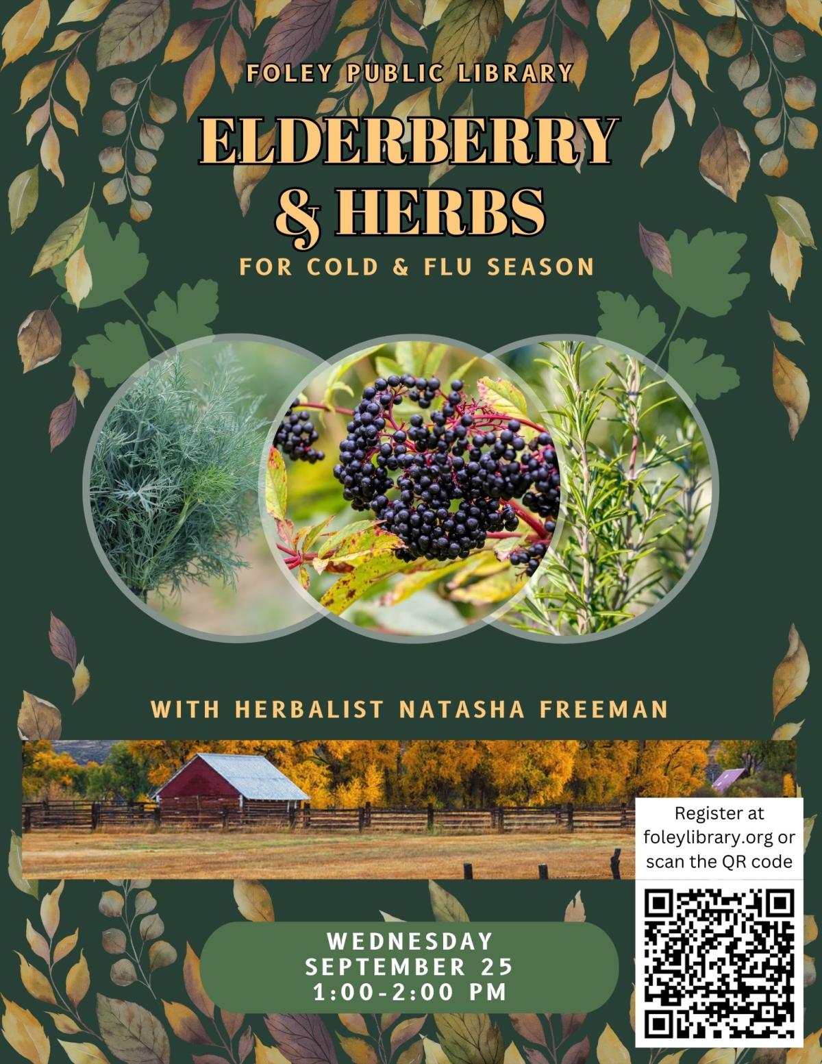 elderberry